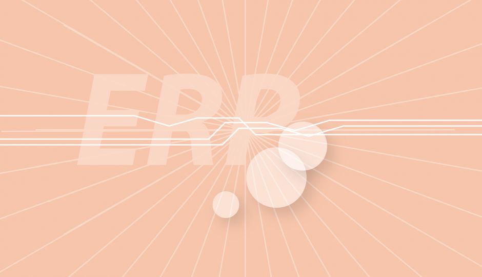 ERP.jpg