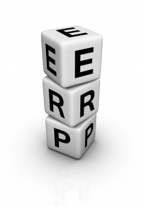 erp-dice-207x300.jpg