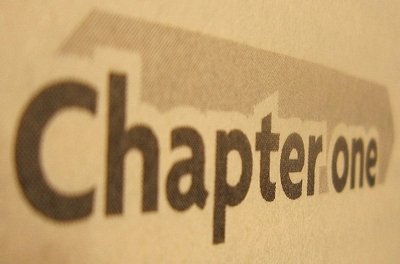 chapter+one+erp+image.jpg