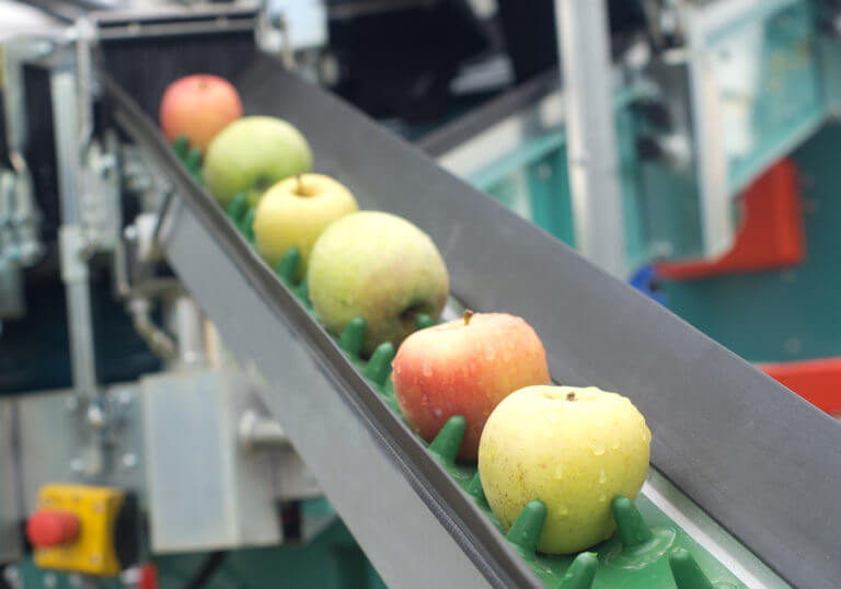 Apple-conveyor-consumer-goods-768x538.jpg