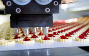 Food-Processing-Plant-300x191.jpg
