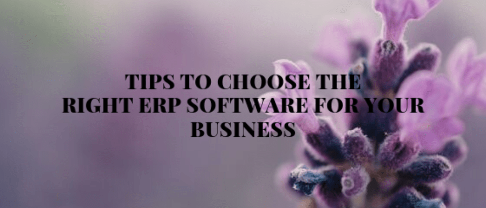 erpsoftware.png
