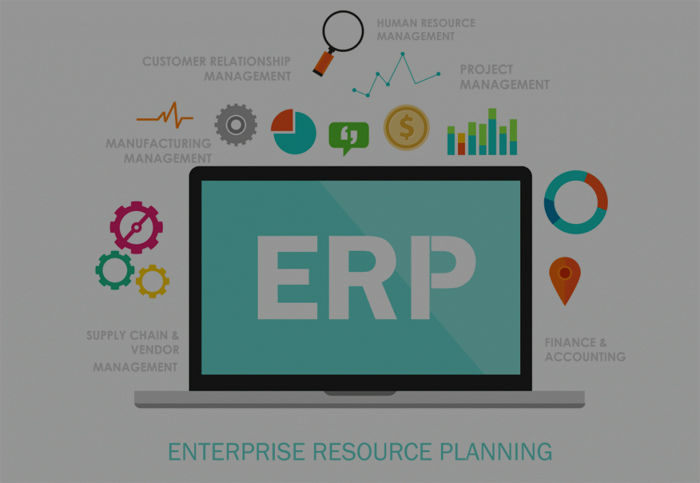 erp1.jpg