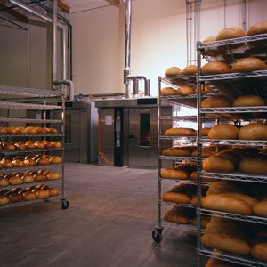 Food-and-beverage-article-pics.JPG