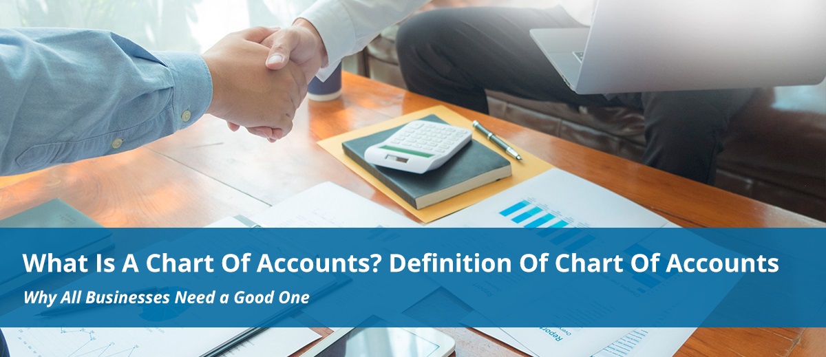 What-Is-A-Chart-Of-Accounts_-Definition-Of-Chart-Of-Accounts.jpg