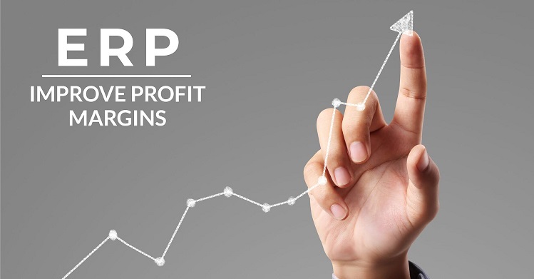 erp-profit-margin-min.jpg